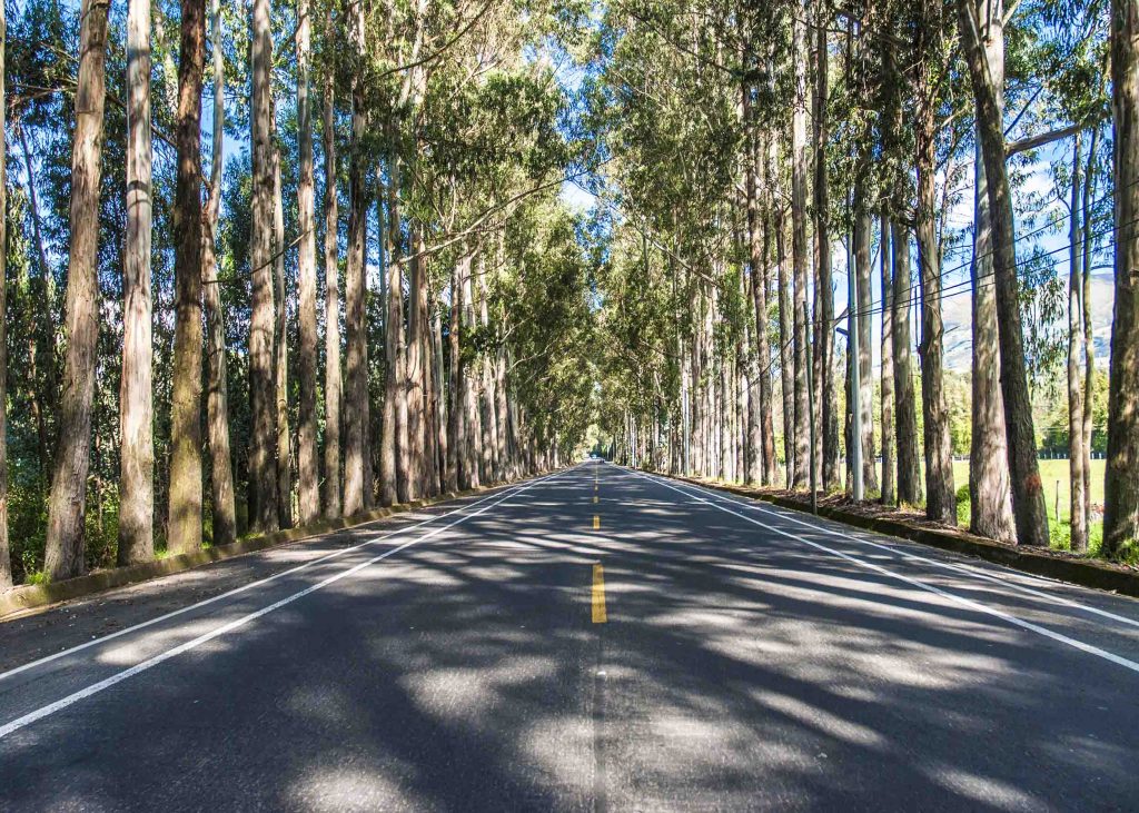 Cayambe - Cajas Highway Maintenance Ecuador
